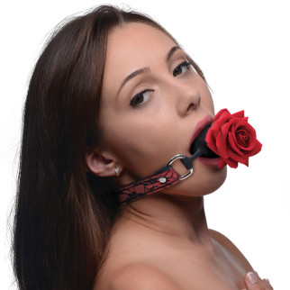 Кляп силіконовий з трояндою Master Series, чорний, червоний - Інтернет-магазин спільних покупок ToGether