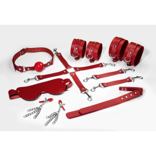 Набір Feral Feelings BDSM Kit 7 Red, наручники, поножі, конектор, маска, падл, кляп, затискачі - Інтернет-магазин спільних покупок ToGether
