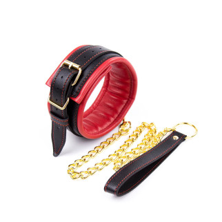 Нашийник із повідцем Collar black/red with leash - Інтернет-магазин спільних покупок ToGether