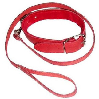 Нашийник з повідцем DS Fetish Collar with leash red - Інтернет-магазин спільних покупок ToGether