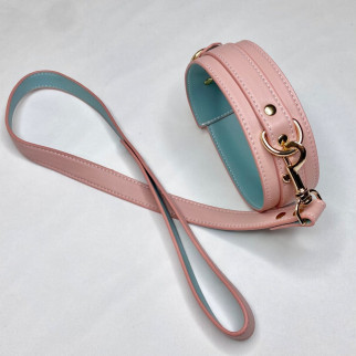 Нашийник з повідцем DS Fetish Collar with leash pink - Інтернет-магазин спільних покупок ToGether