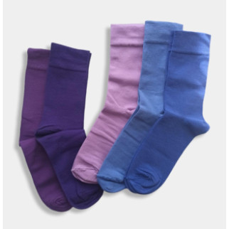 Шкарпетки чоловічі довгі кольорові демісезонні р.41-43 ТМ Twinsocks - Інтернет-магазин спільних покупок ToGether