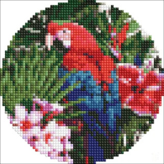 Алмазна мозаїка на круглому підрамнику "Яскравий папуга" AM-R7918 d19см - Інтернет-магазин спільних покупок ToGether