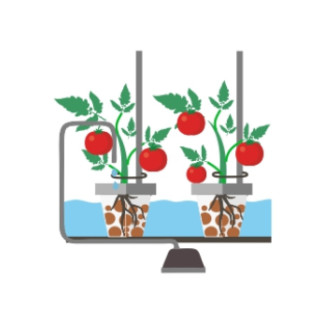Курс з вирощування томатів на воді + практика у Києві - Інтернет-магазин спільних покупок ToGether