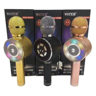 Караоке мікрофон Wster WS-669 бездротовий мікрофон із вбудованим динаміком (USB, microSD, AUX, Bluetooth) - Інтернет-магазин спільних покупок ToGether