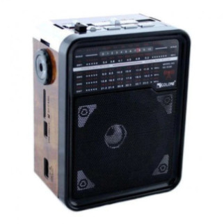 Радіоприймач GOLON RX-9100 з MP3, USB+SD, Портативне Радіо - Інтернет-магазин спільних покупок ToGether