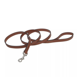 Повідець шкіряний для собак Coastal Circle-T Dog Leash, 1.2 м х 2.5 см, коричневий - Інтернет-магазин спільних покупок ToGether