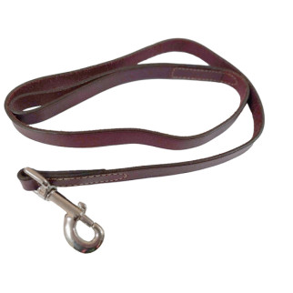 Повідець шкіряний для собак Coastal Circle-T Dog Leash, 1.2 м х 2 см, кремовий - Інтернет-магазин спільних покупок ToGether