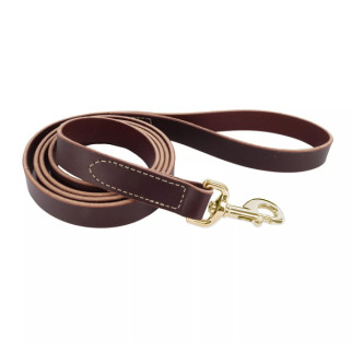 Повідець шкіряний для собак Coastal Circle-T Dog Leash, 1.8 м х 2 см, коричневий - Інтернет-магазин спільних покупок ToGether