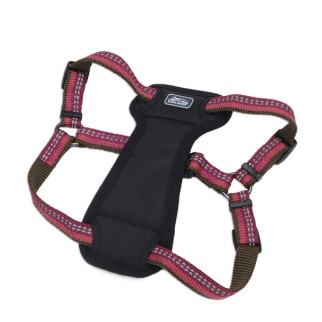 Шлей для собак світловідбивна Coastal K9 Explorer Harness, 50-76 см, пурпурний - Інтернет-магазин спільних покупок ToGether