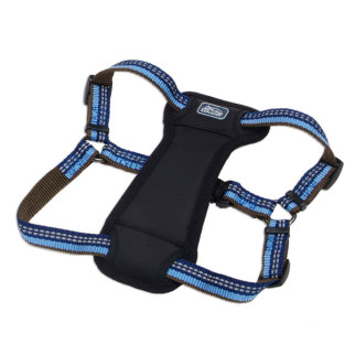 Шлей для собак світловідбивна Coastal K9 Explorer Harness, 66-96 см, синій - Інтернет-магазин спільних покупок ToGether