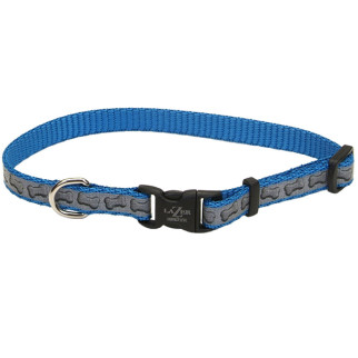 Нашийник світловідбивний для собак Coastal Lazer Brite Reflective Collar, 30-46 см, бірюзовий - Інтернет-магазин спільних покупок ToGether
