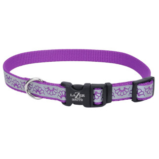 Нашийник світловідбивний для собак Coastal Lazer Brite Reflective Collar, 30-46 см, фіолетова ромашка - Інтернет-магазин спільних покупок ToGether