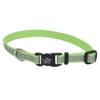 Нашийник світловідбивний для собак Coastal Lazer Brite Reflective Collar, 20-30 см, зелений - Інтернет-магазин спільних покупок ToGether