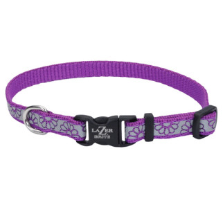 Нашийник світловідбивний для собак Coastal Lazer Brite Reflective Collar, 20-30 см, фіолетовий - Інтернет-магазин спільних покупок ToGether