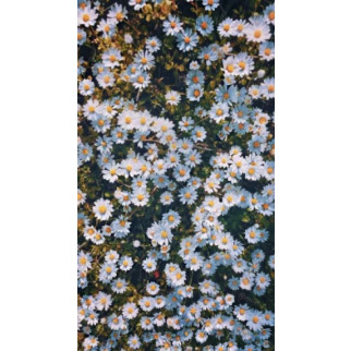 Алмазна мозаїка "Ромашкове поле", на підрамнику 30*40см, в кор. 41*31*2,5см, ТМ Dreamtoys - Інтернет-магазин спільних покупок ToGether