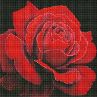 Алмазна мозаїка "Червона троянда" 40х40см, термопакет, ТМ Ідейка, Україна - Інтернет-магазин спільних покупок ToGether