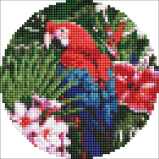 Алмазна мозаїка "Яскравий папуга" на круглому підрамнику d19см, термопакет, ТМ Ідейка, Україна - Інтернет-магазин спільних покупок ToGether