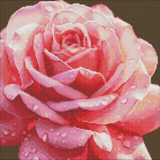 Алмазна мозаїка без підрамника "Досконала троянда" 40х40см, в термопакете,  ТМ Ідейка, Україна - Інтернет-магазин спільних покупок ToGether