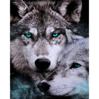 Алмазна мозаїка Два вовки на рамці розміром 40х50см, в кор. 51*43*3см, ТМ Strateg, Україна - Інтернет-магазин спільних покупок ToGether