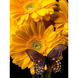 Алмазна мозаїка Метелик на квітці 33х45см круглі каміння-стрази, без підрамника, ТМ Стратег, Україна - Інтернет-магазин спільних покупок ToGether