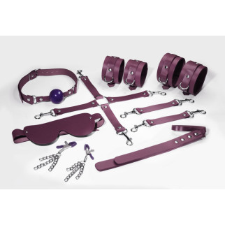 Набір Feral Feelings BDSM Kit 7 Burgundy, наручники, поножі, конектор, маска, падл, кляп, затискачі - Інтернет-магазин спільних покупок ToGether
