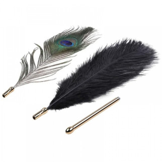 Набір з 2 пір'їнок ,Natural Peacock Flirting Feather Tickler - Інтернет-магазин спільних покупок ToGether