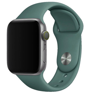Силіконовий ремінець для Apple watch 42mm/44mm/45mm/49mm Зелений / Pine green - Інтернет-магазин спільних покупок ToGether