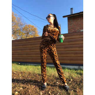 Брючний костюм для будинку і прогулянок велюр кольоровий Рим(леопард) 44 - Інтернет-магазин спільних покупок ToGether