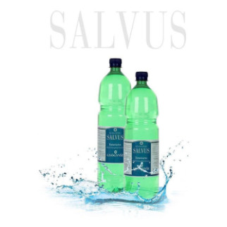 Лікувальна вода Сальвус 1500 мл Угорщина-Salvus - Інтернет-магазин спільних покупок ToGether