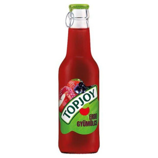 Натуральний напій безалкогольний соковмісний Topjoy зі смаком  лісових ягід Топджой 250 мл - Інтернет-магазин спільних покупок ToGether