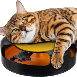 Інтерактивна іграшка кігтеточка для котів Злови мишку PURLOV - Інтернет-магазин спільних покупок ToGether