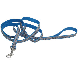 Повідець світловідбивний для собак Coastal Lazer Brite Reflective Leash, 1.8 м х 2.5 см, бірюзовий - Інтернет-магазин спільних покупок ToGether