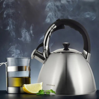 Чайник із свистком Ofenbach KM-100309 4.5 л сріблястий - Інтернет-магазин спільних покупок ToGether