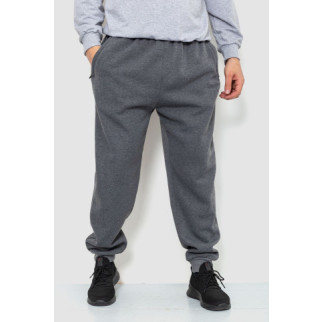Спорт чоловічі штани на флісі, колір сірий, 244R4868 - Інтернет-магазин спільних покупок ToGether