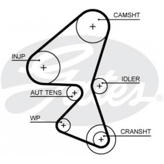 Ремень ГРМ Gates 5656XS - Топ Продаж! - Інтернет-магазин спільних покупок ToGether