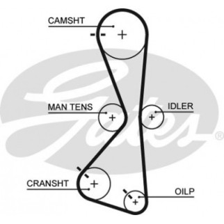 Ремень ГРМ Gates 5609XS - Топ Продаж! - Інтернет-магазин спільних покупок ToGether