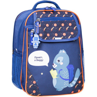 Рюкзак шкільний Bagland Відмінник 20 л. 225 синій 429 (0058070) - Інтернет-магазин спільних покупок ToGether