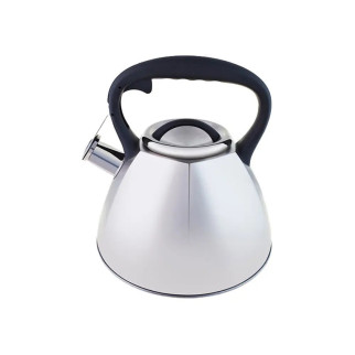 Чайник зі свистком Aureti AU-20005 3 л сріблястий - Інтернет-магазин спільних покупок ToGether