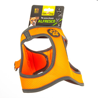 Шлея GimDog Alfresco для собак, неопрен, помаранчева, розмір M, 41-44 см - Інтернет-магазин спільних покупок ToGether