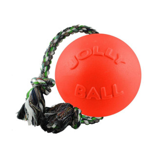 Іграшка для собак Jolly Pets М'яч з канатом Romp-n-roll 22 см Помаранчевий (608OR) - Інтернет-магазин спільних покупок ToGether