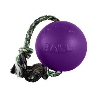 Іграшка для собак Jolly Pets М'яч з канатом Romp-n-roll 22 см Фіолетовий (608PRP) - Інтернет-магазин спільних покупок ToGether