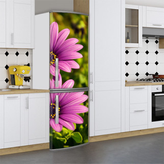 Вінілова наклейка на холодильник, ромашки, 180х60 см - Лицьова (В), з ламінуванням - Інтернет-магазин спільних покупок ToGether