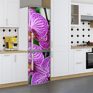 Вінілова наклейка на холодильник, орхідеї, 180х60 см - Лицьова (В), з ламінуванням - Інтернет-магазин спільних покупок ToGether