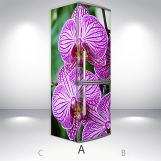Наклейки на холодильник вінілова, орхідеї, 200х60 см - Лицьова + Ліва (А), з ламінуванням - Інтернет-магазин спільних покупок ToGether