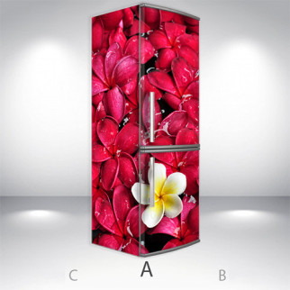 Наклейки на холодильник, квіти соковиті, 180х60 см - Лицьова + Ліва (А), з ламінуванням - Інтернет-магазин спільних покупок ToGether