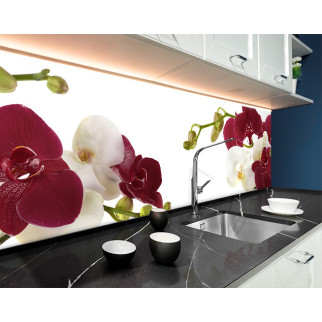 Наклейка на кухонний фартух 60 х 250 см, з фотодруком та захисною ламінацією орхідеї на гілці (БП-s_fl11730-1) - Інтернет-магазин спільних покупок ToGether