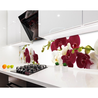 Наклейка на кухонний фартух 60 х 300 см, з фотодруком та захисною ламінацією орхідеї на гілці (БП-s_fl11730-3) - Інтернет-магазин спільних покупок ToGether