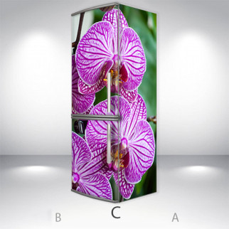 Вінілова наклейка на холодильник, орхідеї, 180х60 см - Лицьова + Права (C), з ламінуванням - Інтернет-магазин спільних покупок ToGether