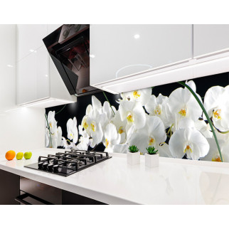 Наклейка на кухонний фартух 65 х 250 см, фотодрук із захисною ламінацією білі орхідеї, квіти - Інтернет-магазин спільних покупок ToGether